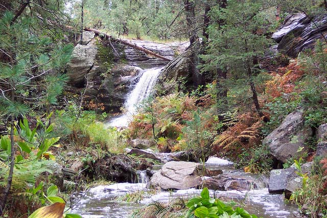 afn.sp.trail.jpg.jpg